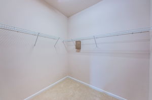 Primary Bedroom Walk-in Closet