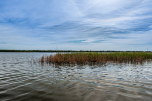 Lake View 2