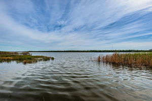 Lake View 3