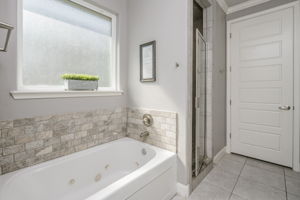 Master Bathroom-2