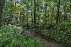  Photo 49