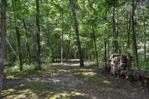  Photo 47