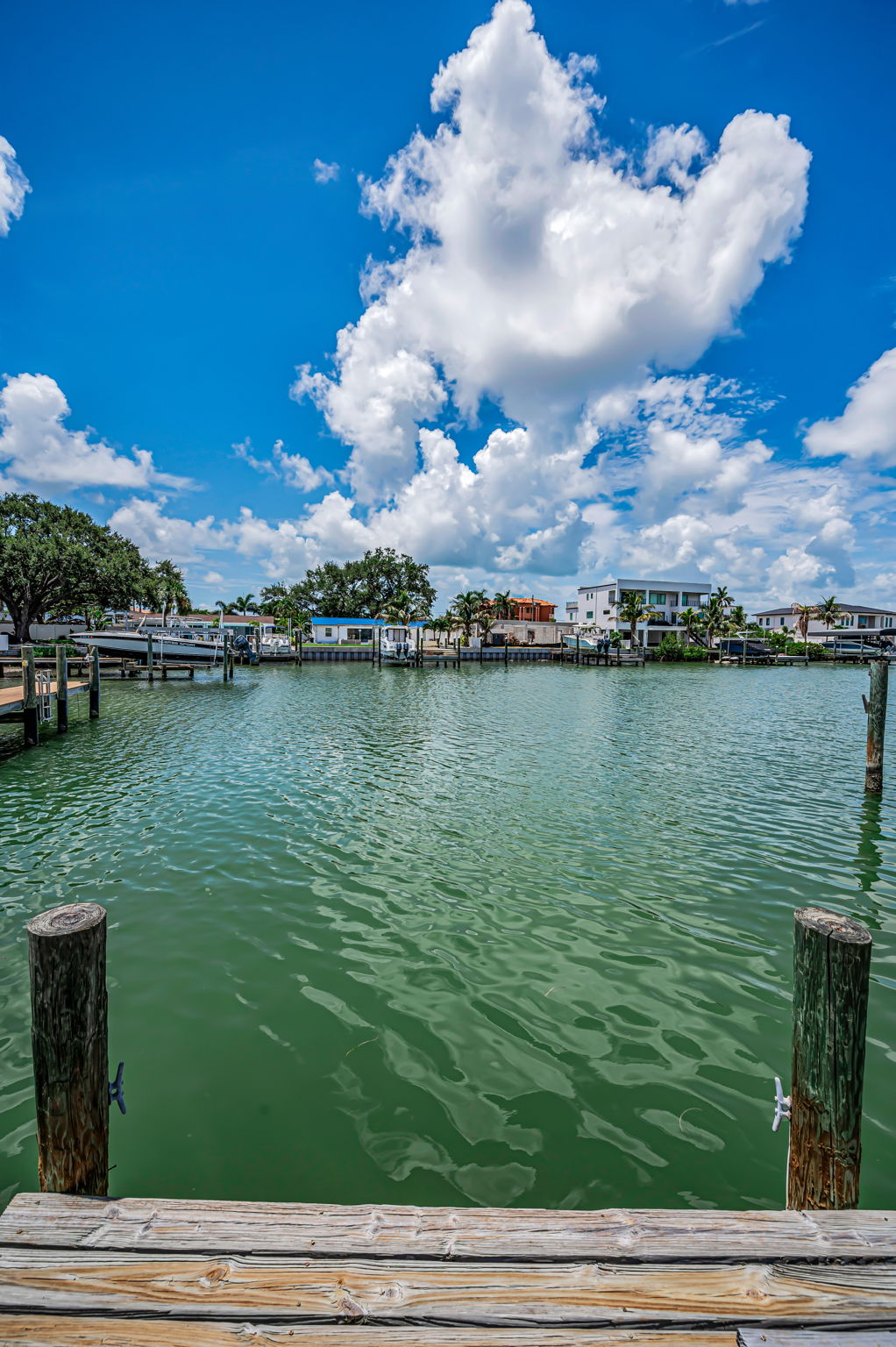 Dock4