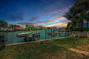 Backyard1