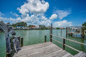 Dock3