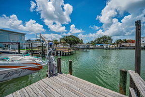 Dock5