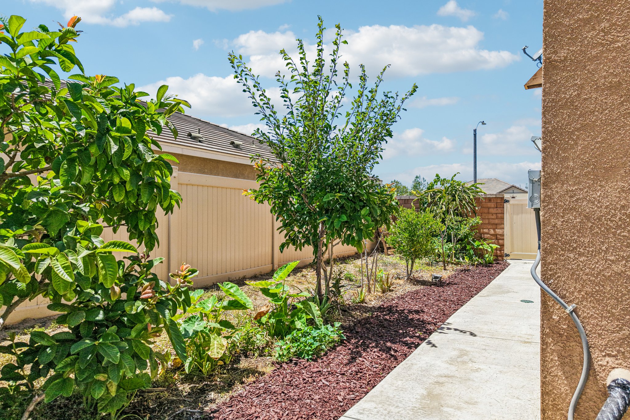 Zona Ct-S1006-043.jpg