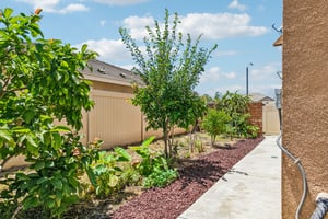 Zona Ct-S1006-043.jpg