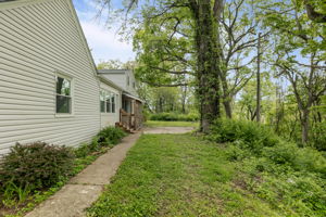  Photo 48