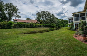 Backyard2