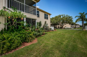 Backyard5