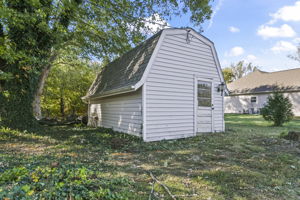 Back View