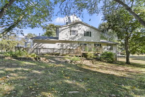 Back View