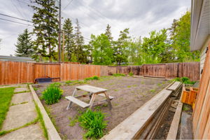  Photo 52