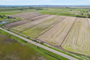 Country Acres Ln-003.jpg