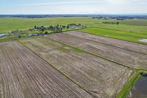 Country Acres Ln-011.jpg