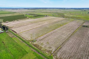 Country Acres Ln-013.jpg