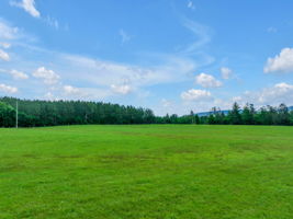  Photo 36