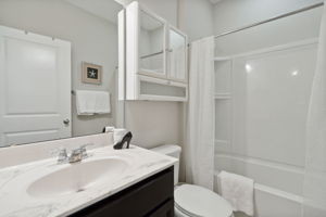 The full guest bath offers bathing and showering options...