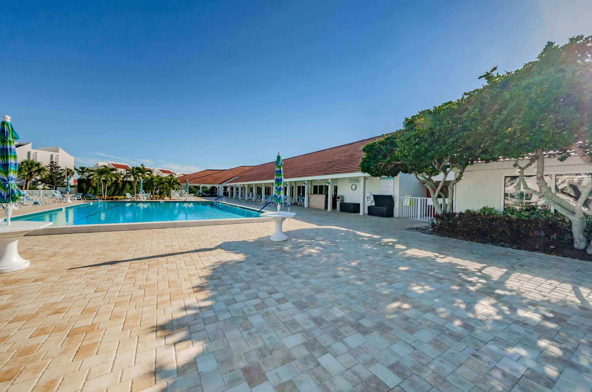 Patio and Pool1