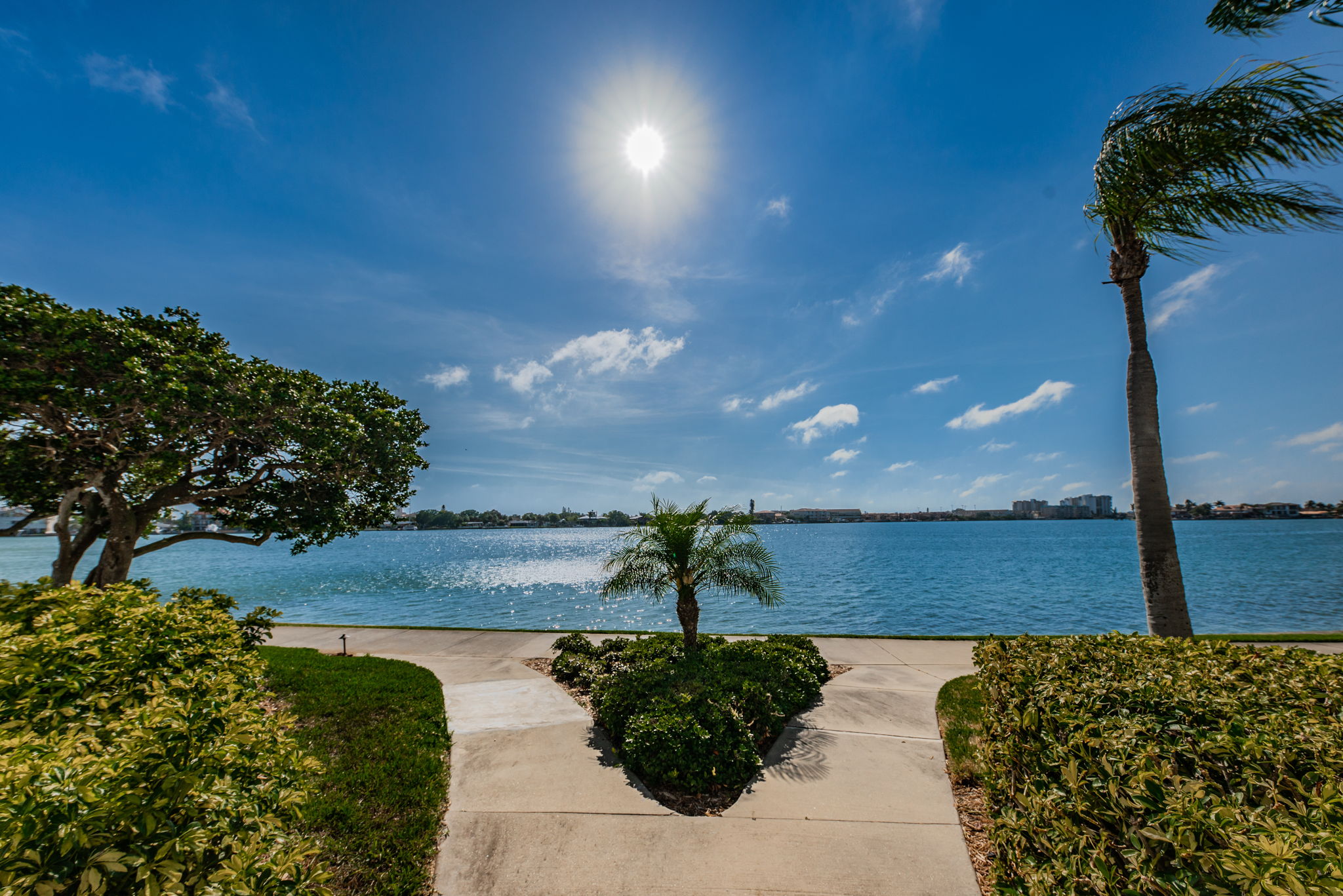 Community Pool View