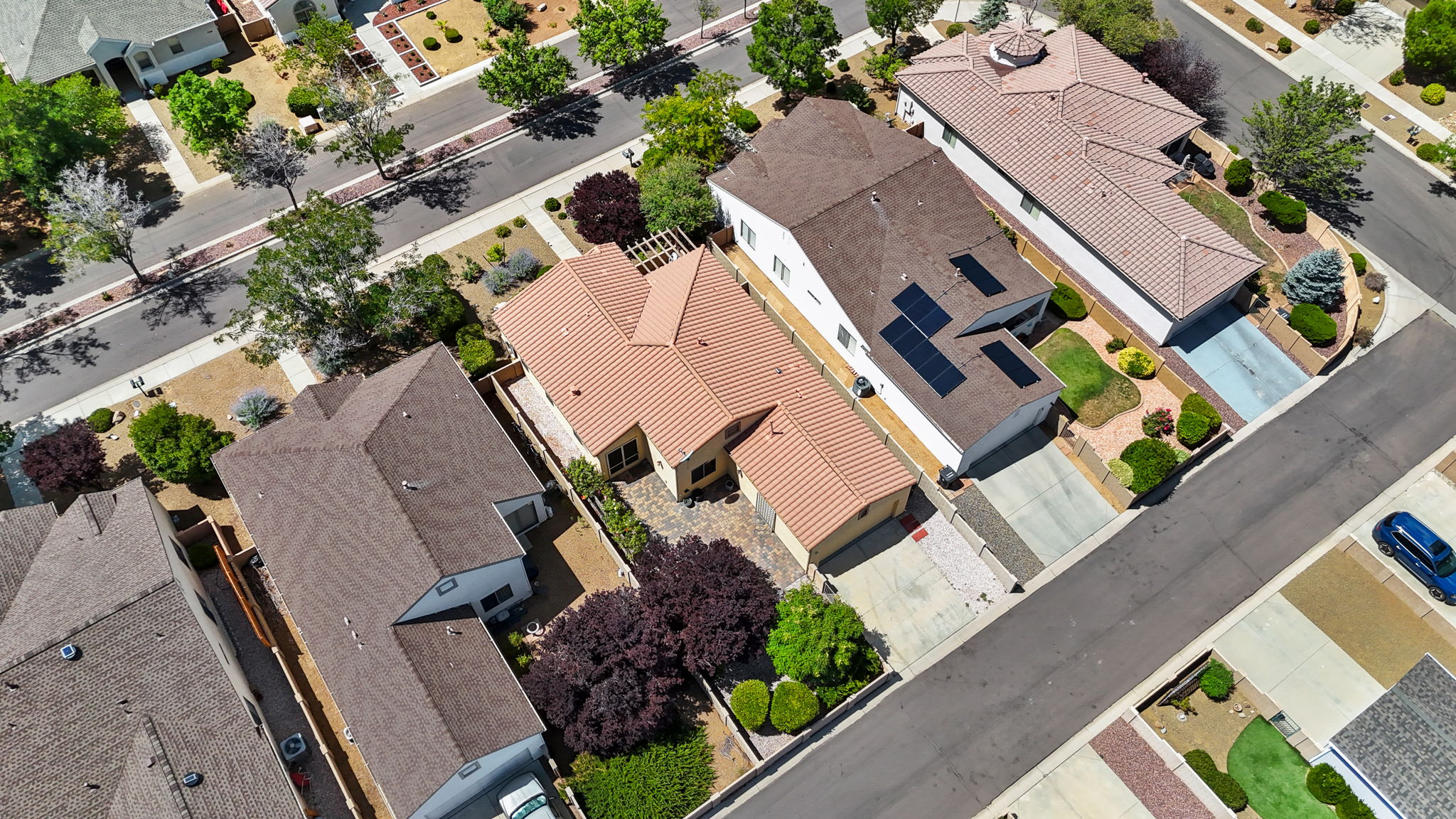 Birds Eye
