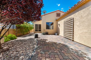 Back Patio (2)