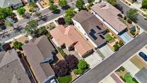 Birds Eye