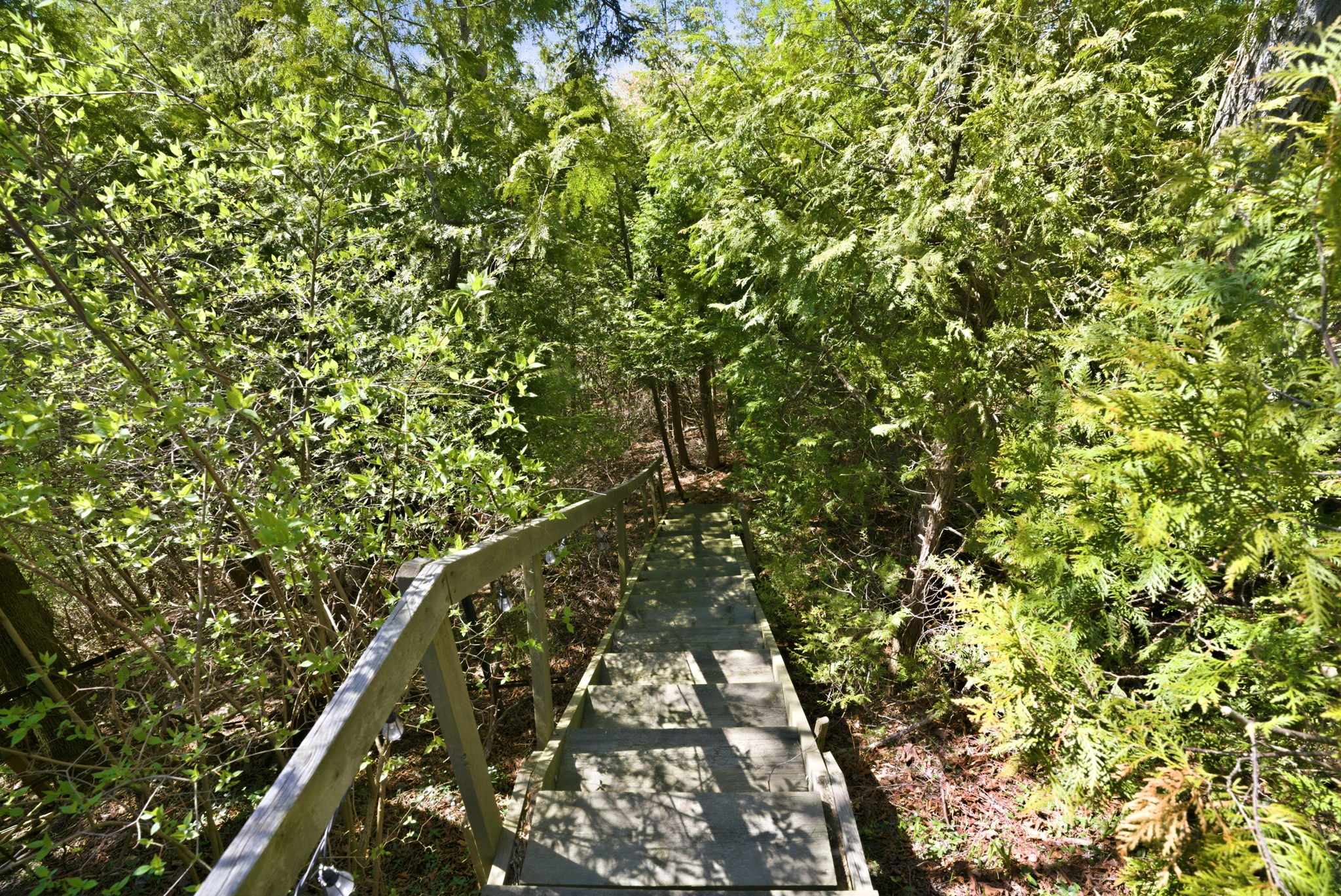  Photo 24