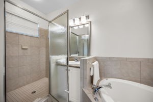 Primary Shower