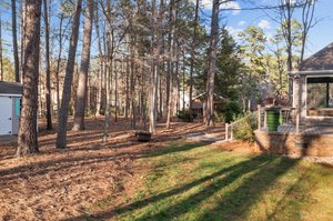 Nice level back yard