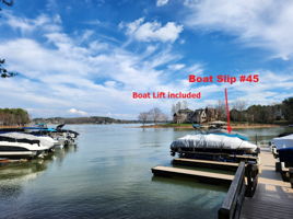 Boat lift included