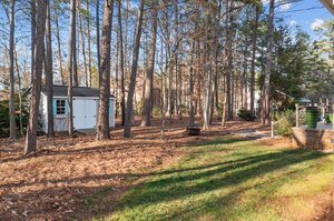Lots of treed privacy