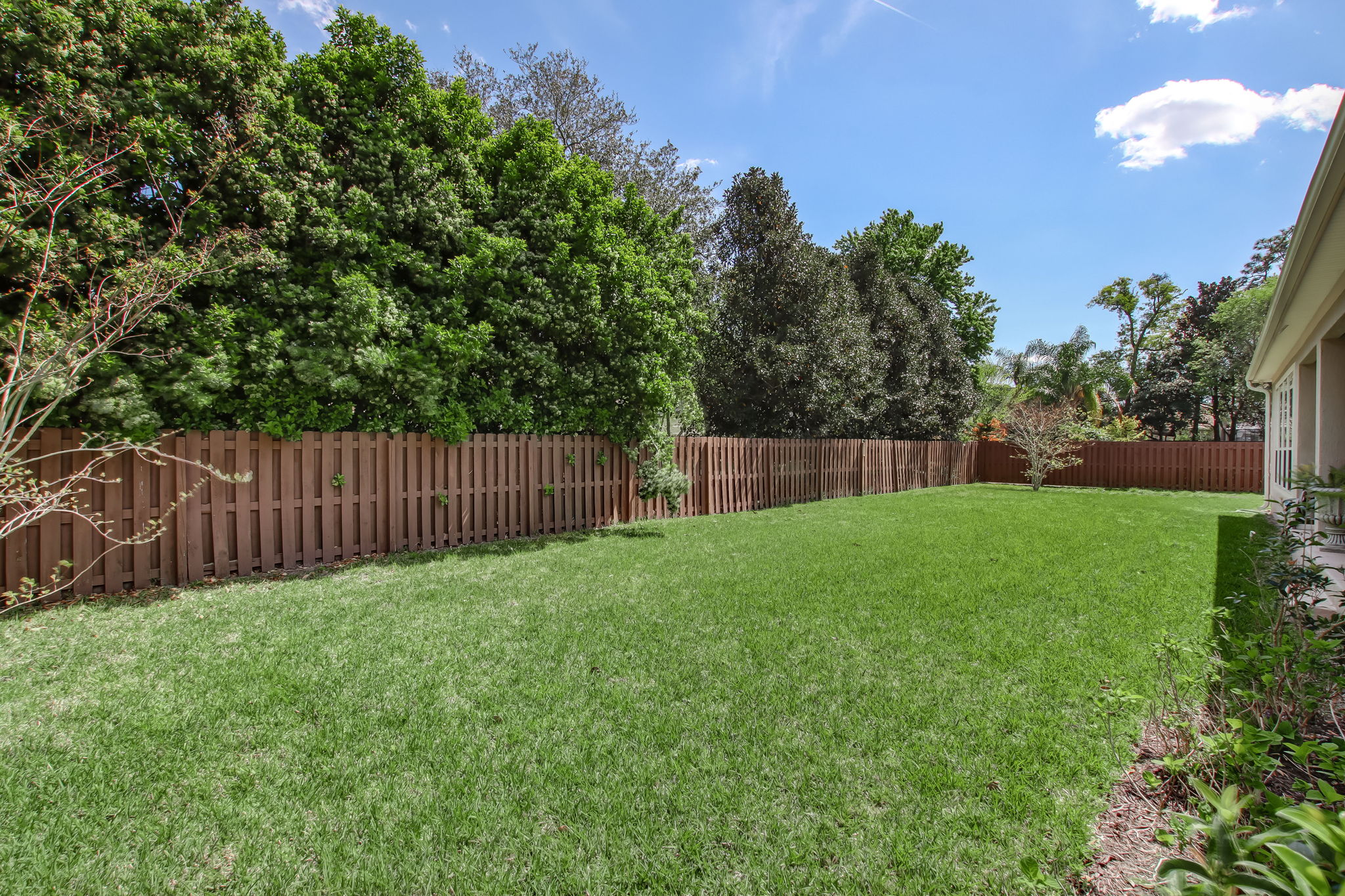 Large Fenced Rear Lawn