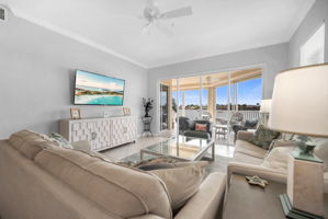Living View 2