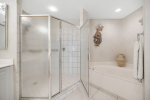 Primary Shower