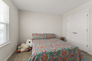  Photo 51
