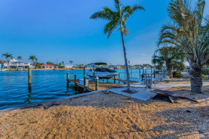 Backyard1
