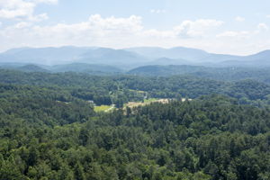  Photo 0