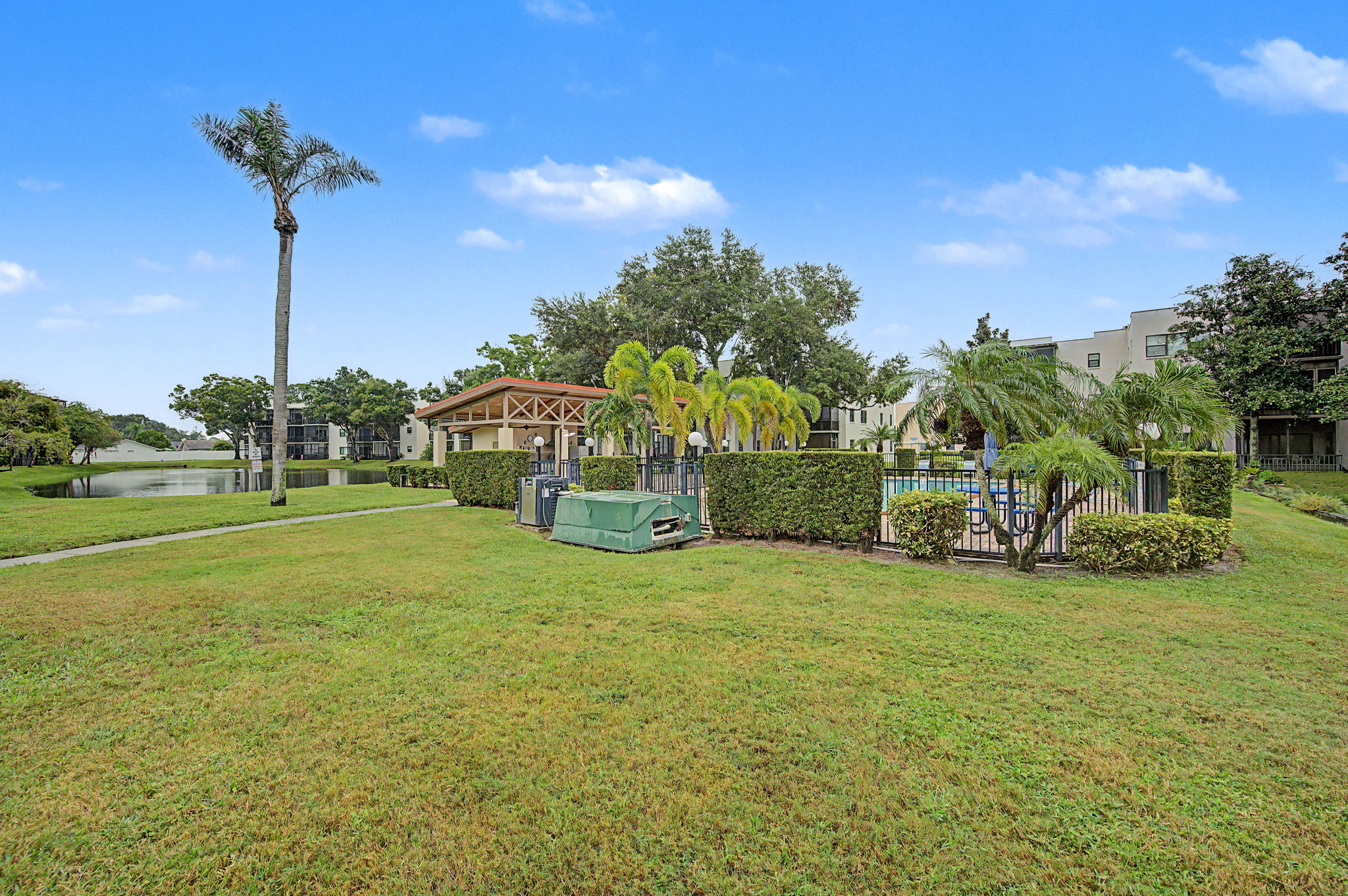 Backyard5