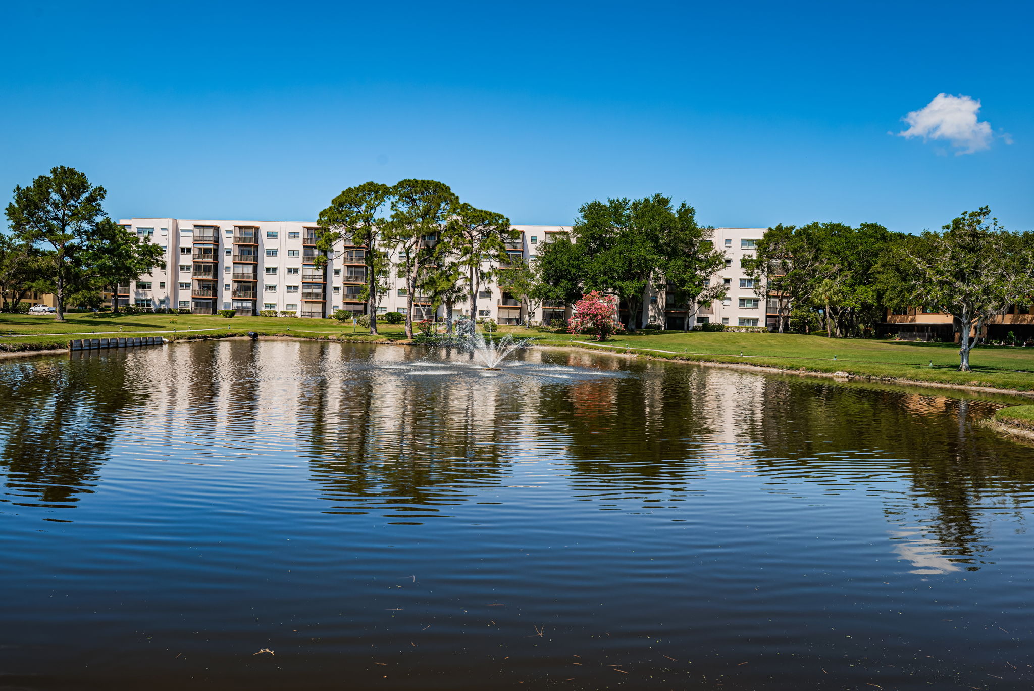Oleander Lake Center8 Pond View