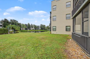 Backyard2