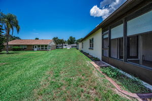Backyard3