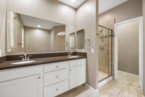 Primary Bathroom (2)