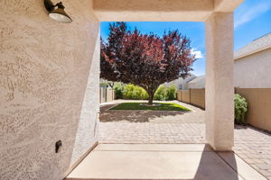 Back Patio (1)