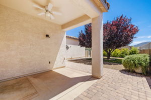Back Patio (2)