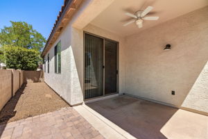 Back Patio (3)