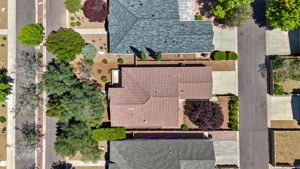Birds Eye