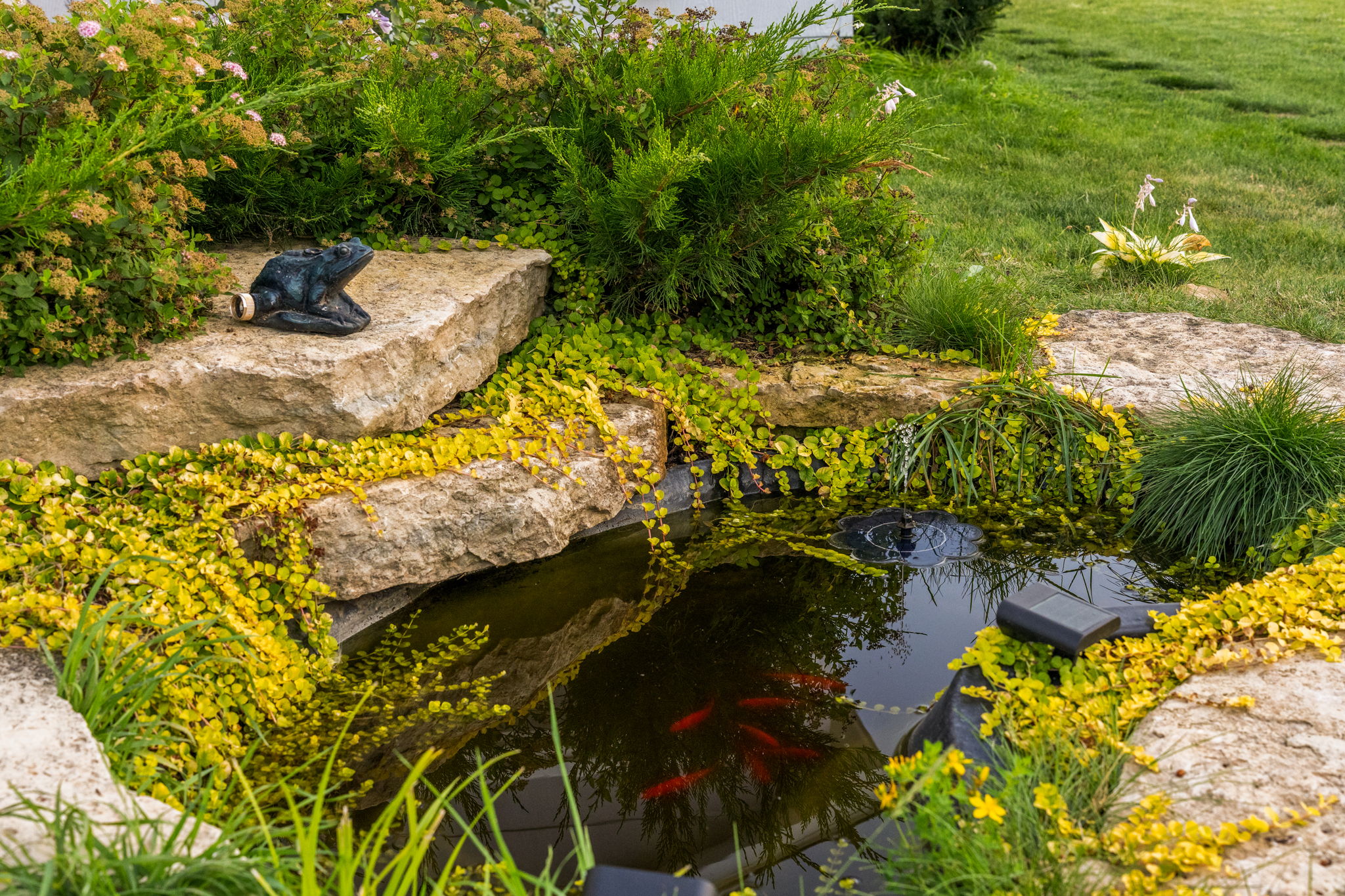  Photo 102