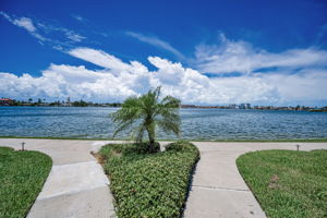 Backyard3 Water View
